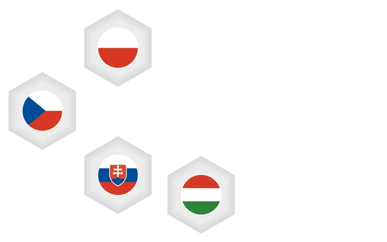V4 Biochar Platform